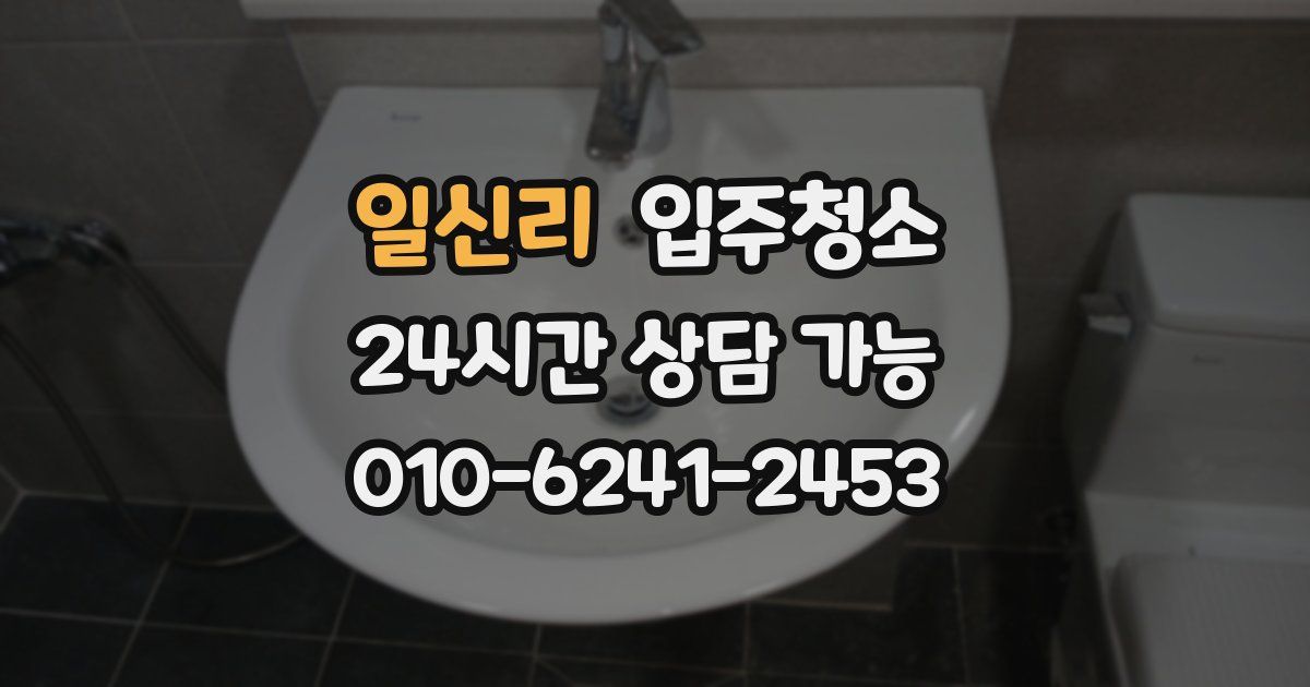 일신리 입주청소