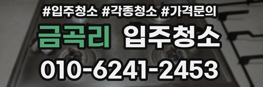 금곡리 이사청소