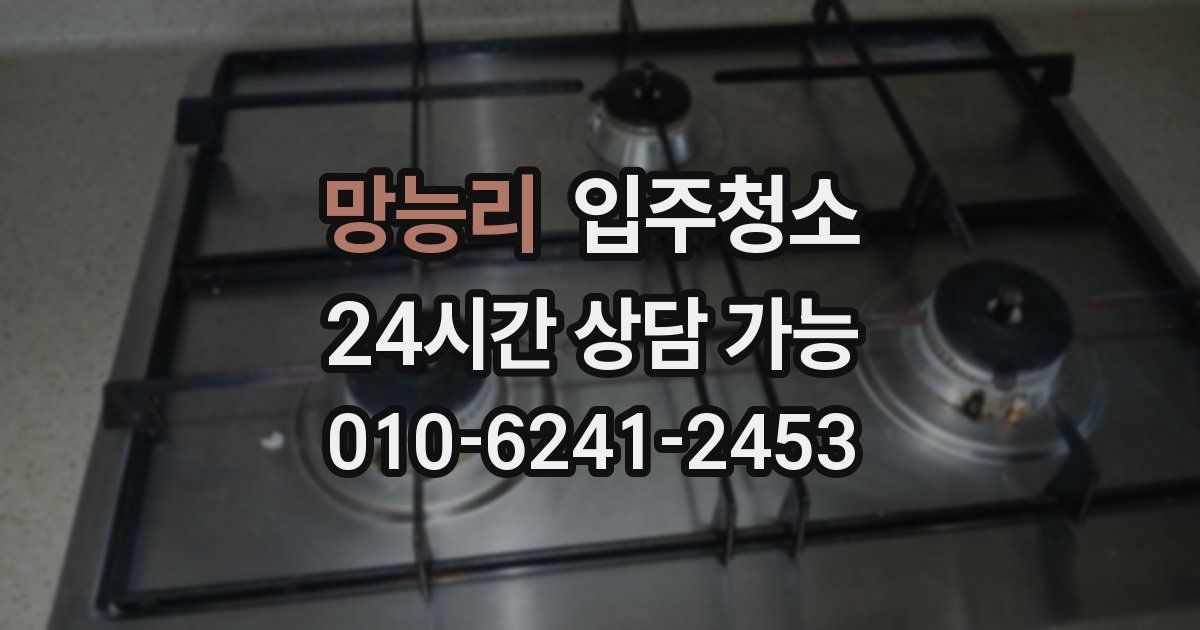 망능리 입주청소