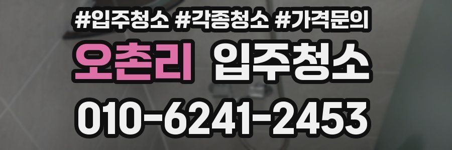 오촌리 이사청소