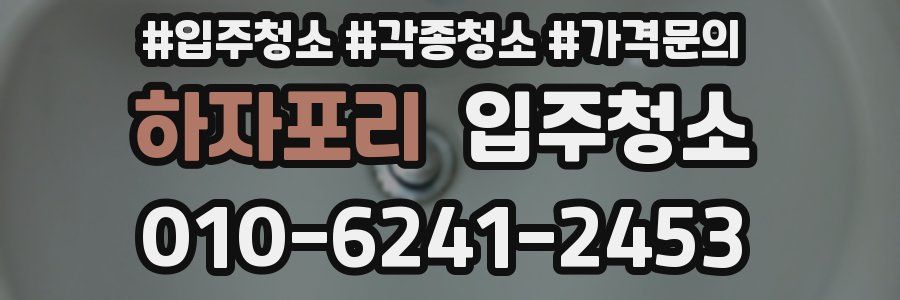 하자포리 이사청소