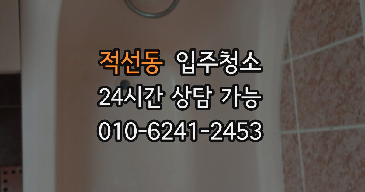 적선동 입주청소