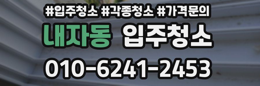 내자동 이사청소