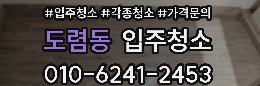 도렴동 이사청소