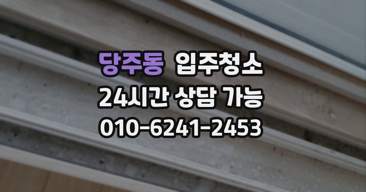 당주동 입주청소