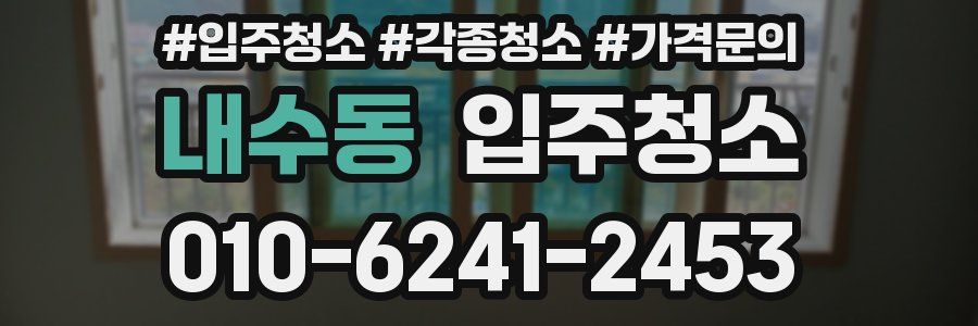 내수동 이사청소