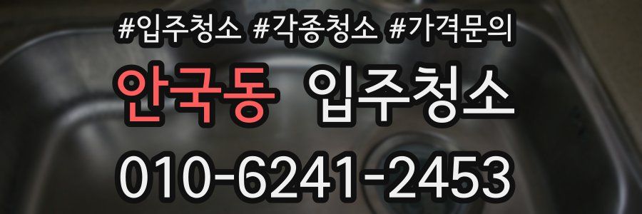 안국동 이사청소