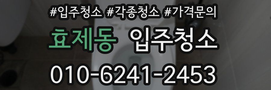 효제동 이사청소