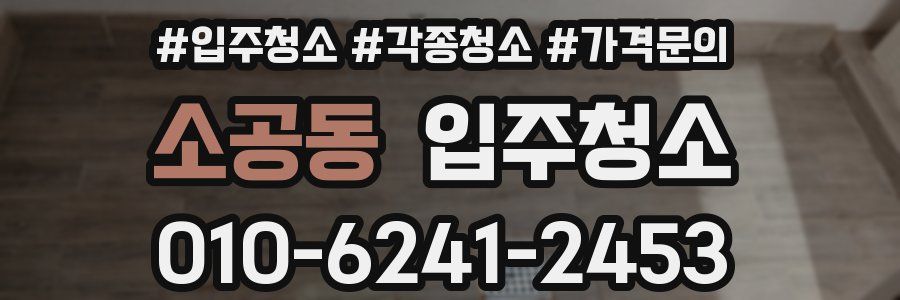 소공동 이사청소