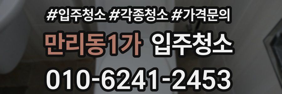 만리동1가 이사청소