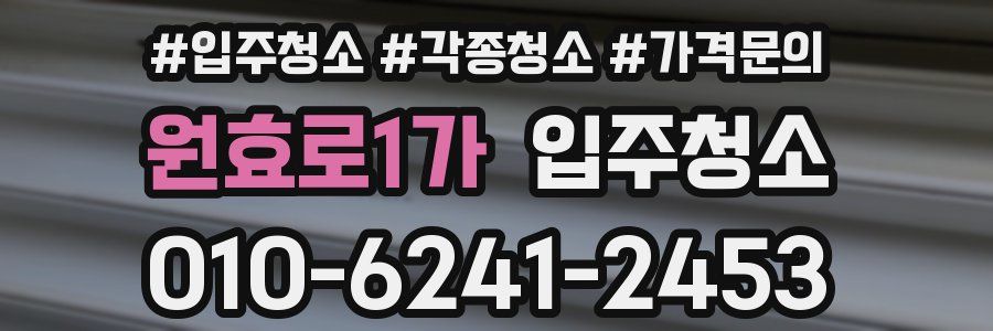 원효로1가 이사청소