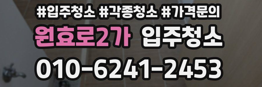 원효로2가 이사청소