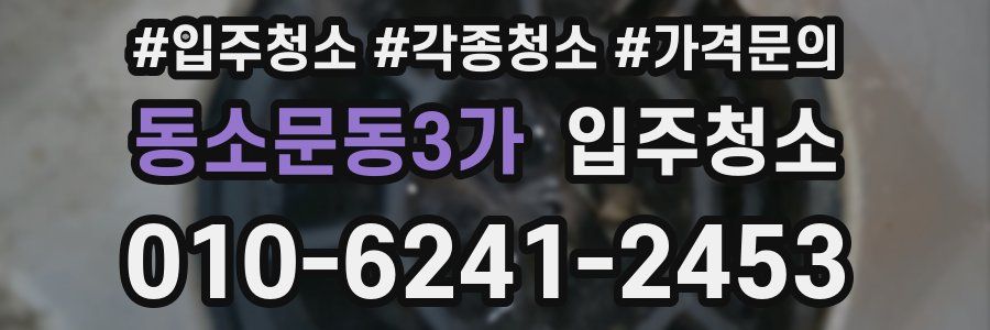 동소문동3가 이사청소