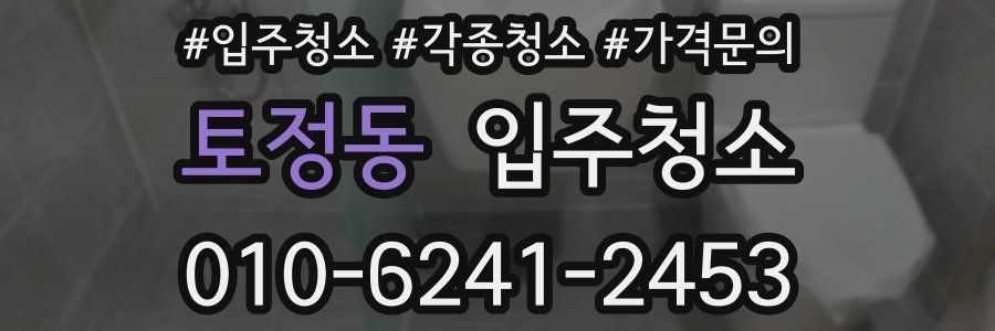 토정동 이사청소