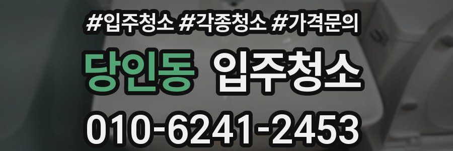 당인동 이사청소