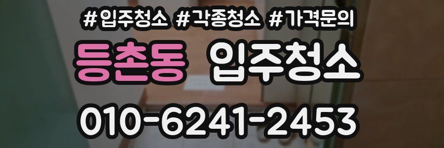 등촌동 이사청소