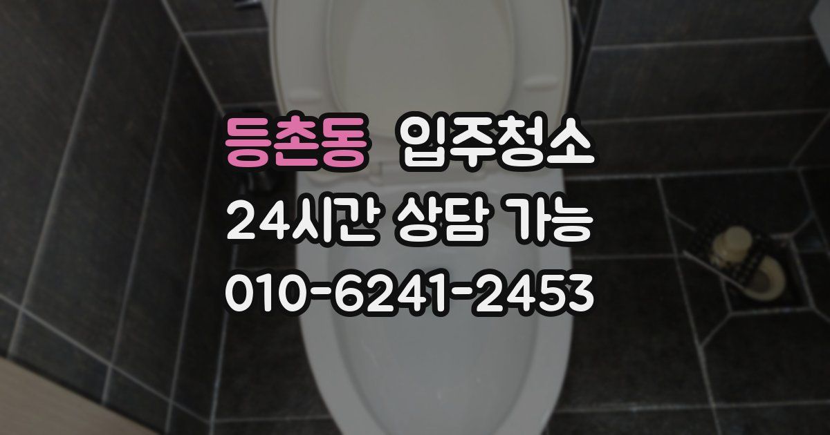 등촌동 입주청소