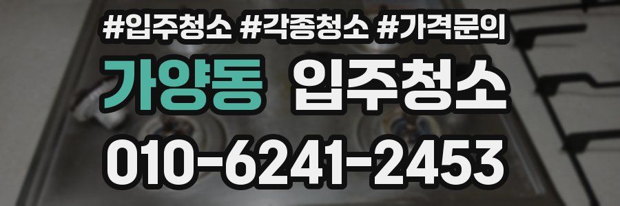 가양동 이사청소