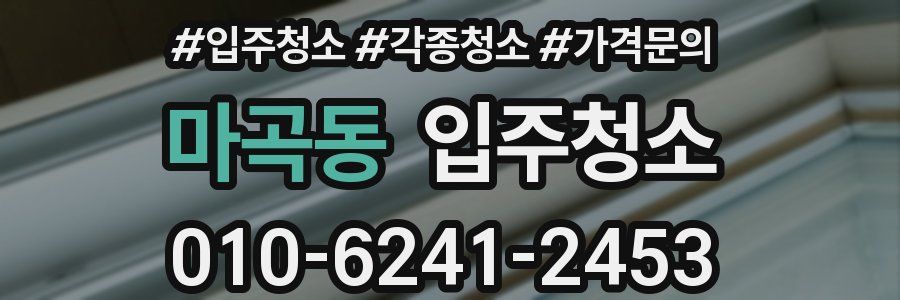 마곡동 이사청소