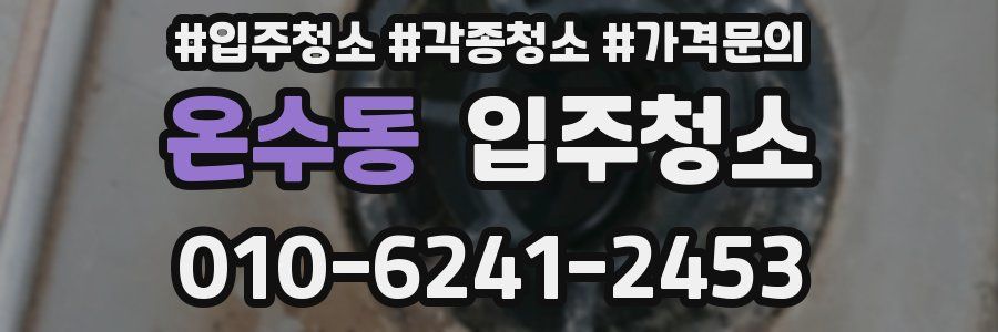 온수동 이사청소