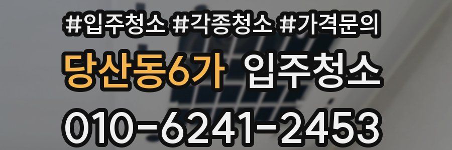 당산동6가 이사청소