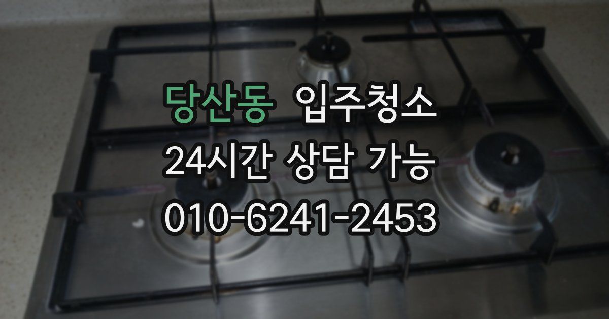 당산동 입주청소