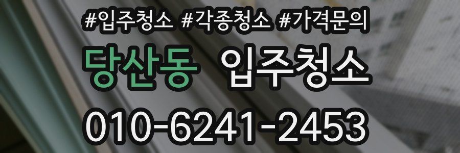 당산동 이사청소