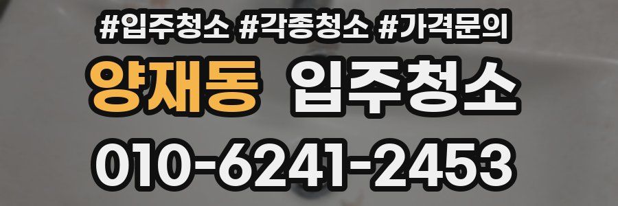 양재동 이사청소