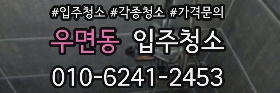 우면동 이사청소