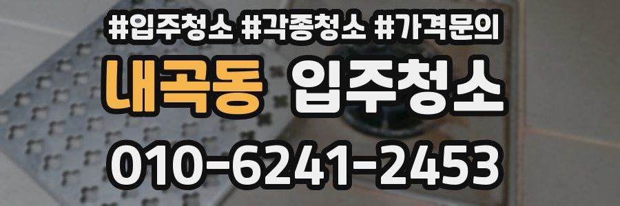 내곡동 이사청소