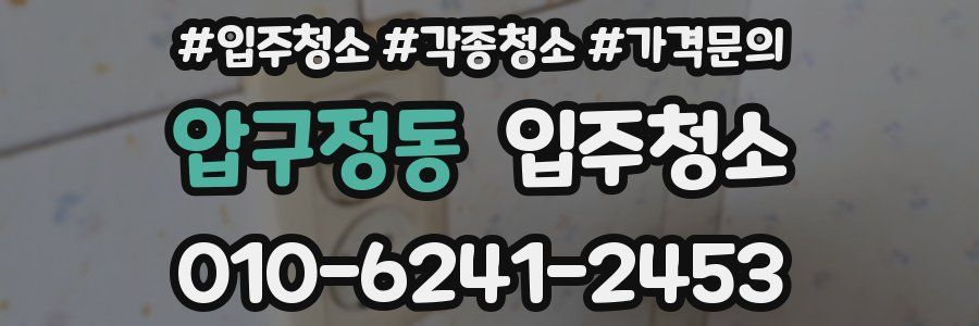 압구정동 이사청소