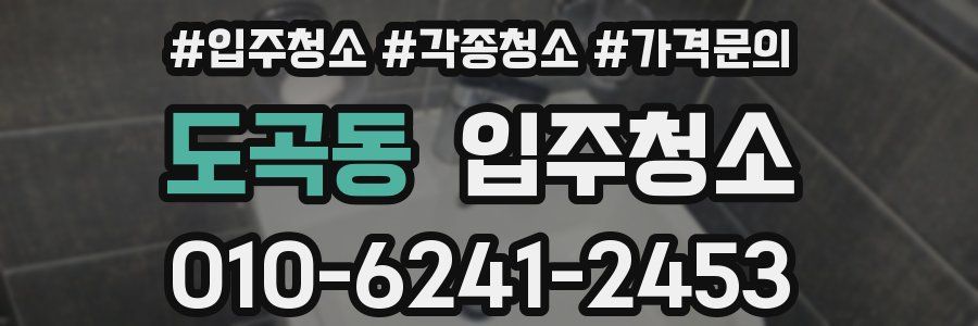 도곡동 이사청소