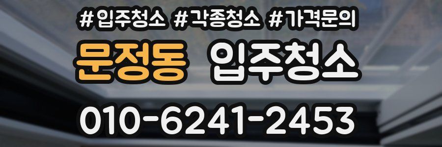 문정동 이사청소