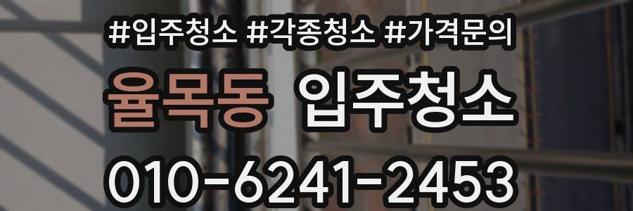 율목동 이사청소