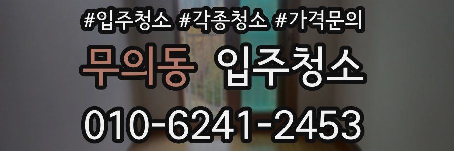 무의동 이사청소