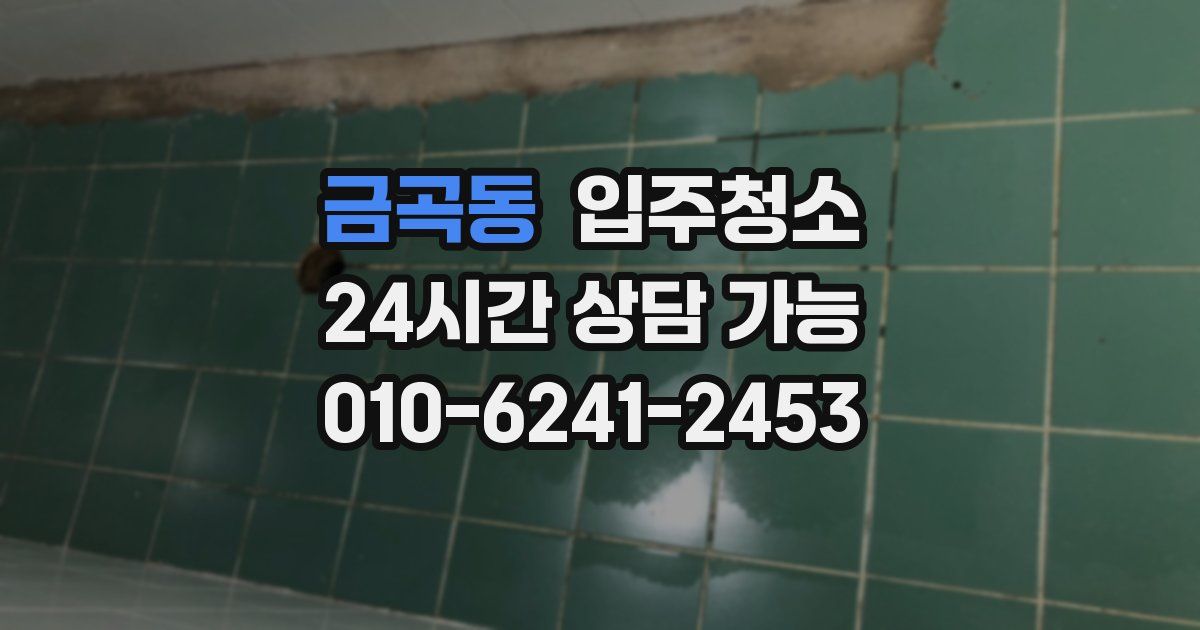 금곡동 입주청소