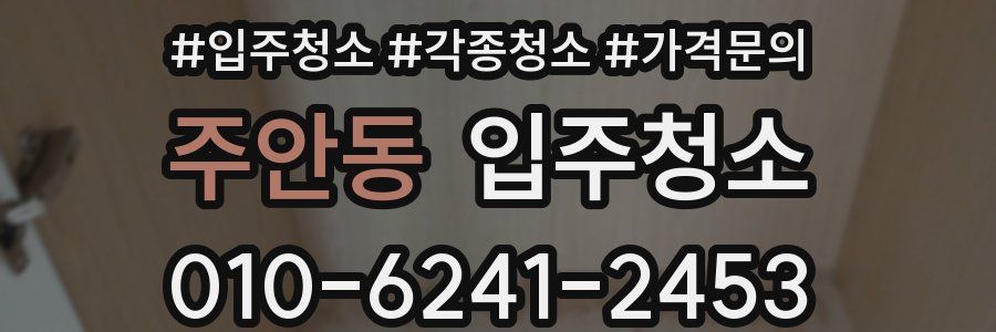 주안동 이사청소