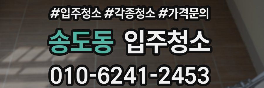 송도동 이사청소