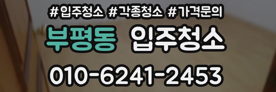 부평동 이사청소