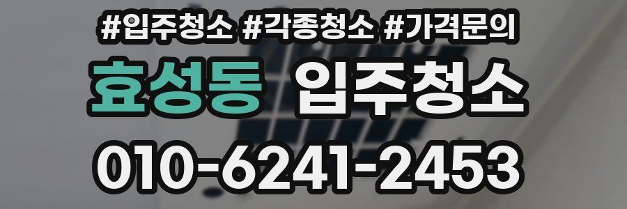 효성동 이사청소