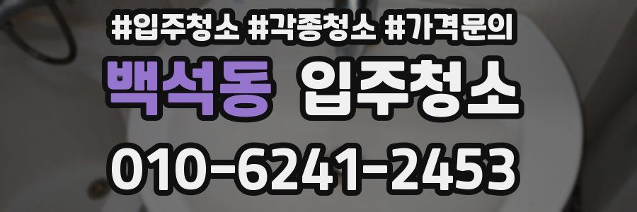 백석동 이사청소