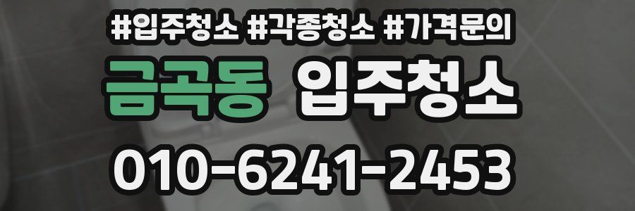 금곡동 이사청소