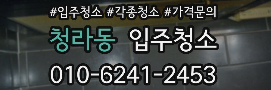 청라동 이사청소