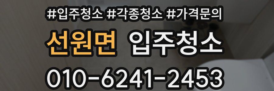 선원면 이사청소