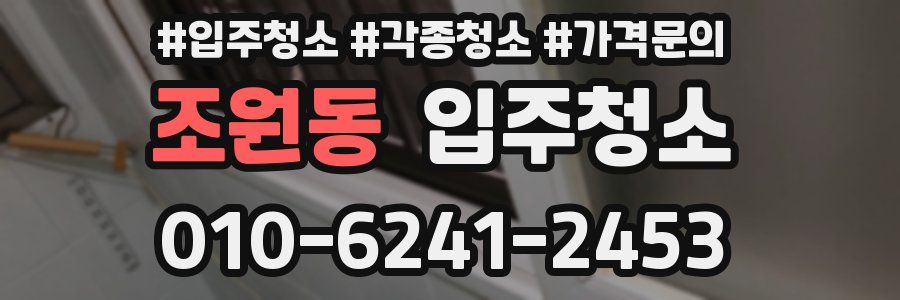 조원동 이사청소