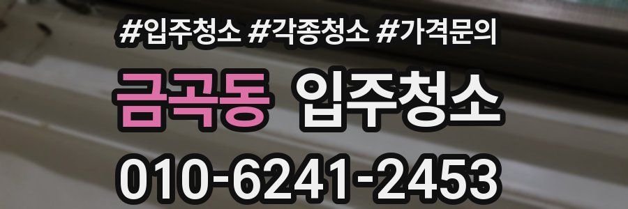 금곡동 이사청소