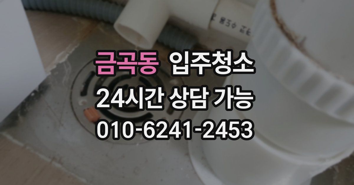 금곡동 입주청소