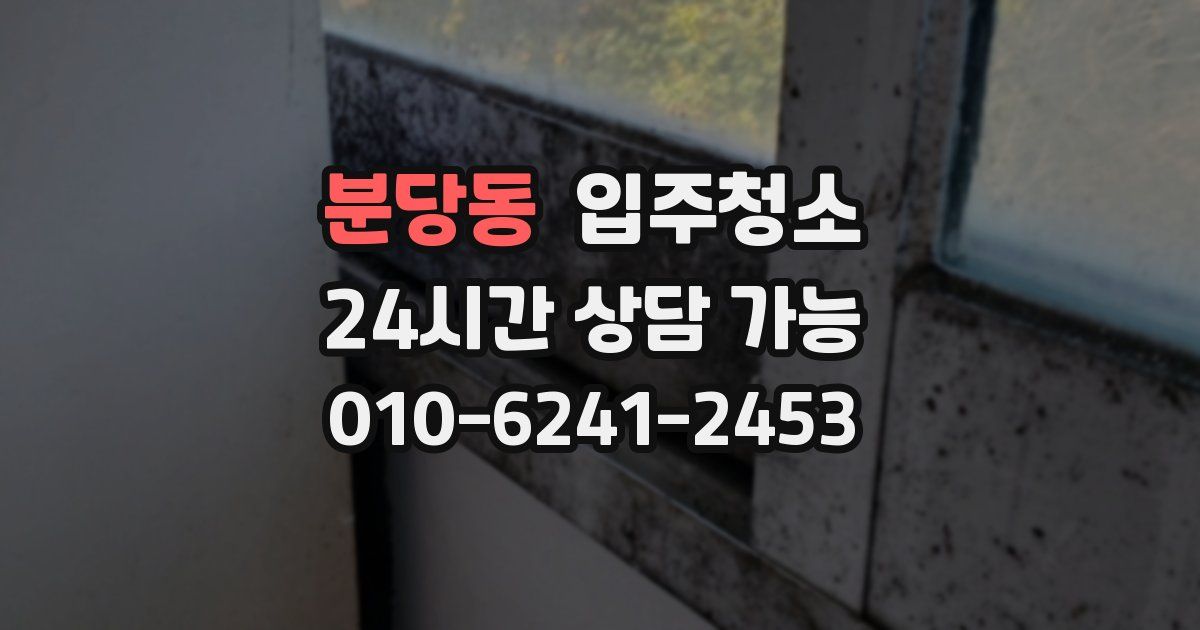 분당동 입주청소