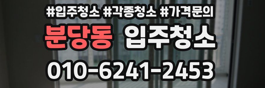 분당동 이사청소