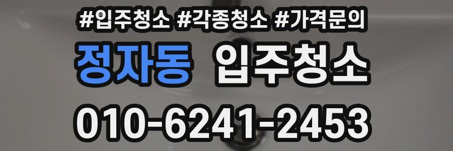 정자동 이사청소